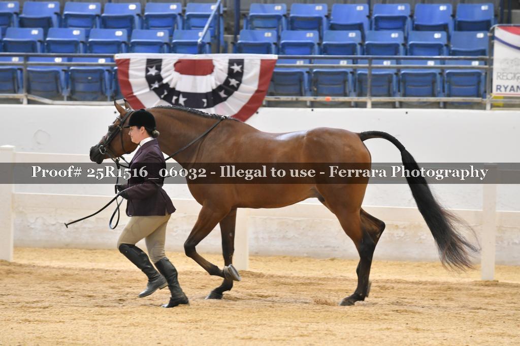 Proof Number 25R1516_06032
