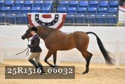 25R1516_06032 thumbnail