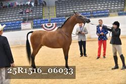 25R1516_06033 thumbnail