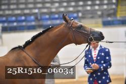 25R1516_06034 thumbnail