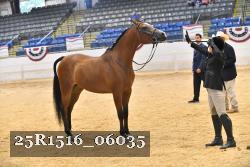 25R1516_06035 thumbnail