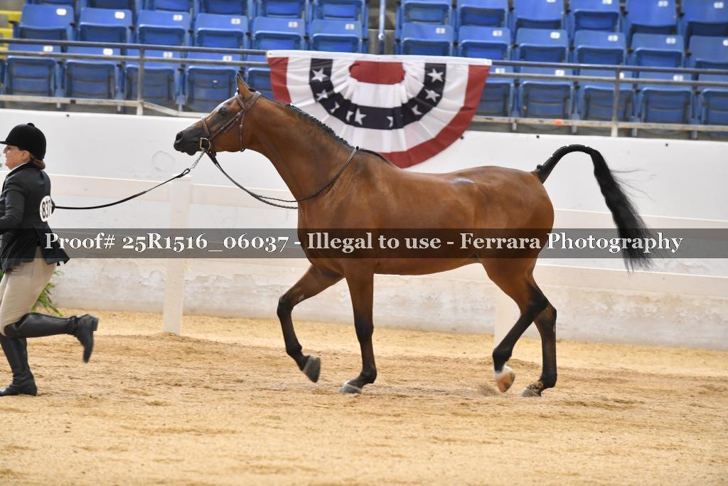 Proof Number 25R1516_06037