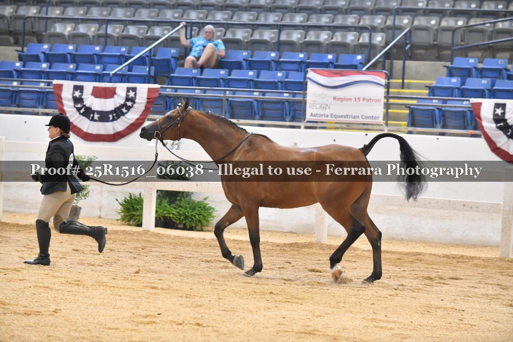 Proof Number 25R1516_06038