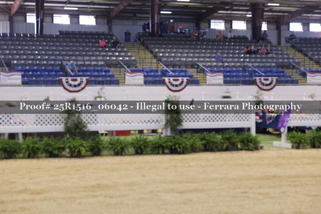 Proof Number 25R1516_06042