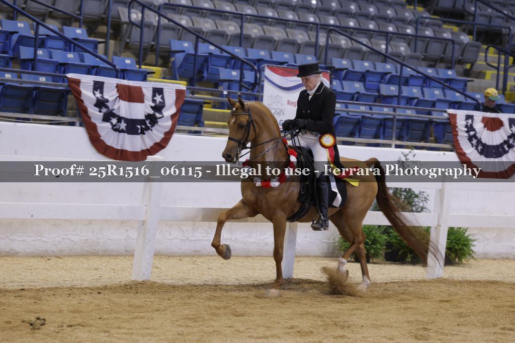 Proof Number 25R1516_06115