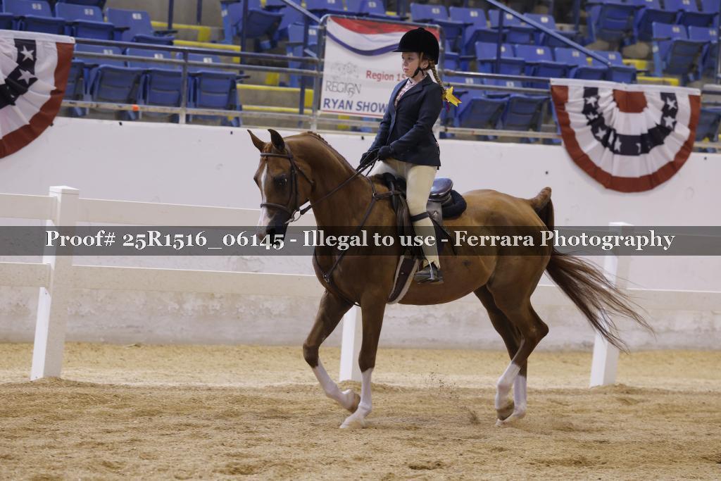 Proof Number 25R1516_06145
