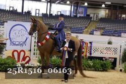 25R1516_06163 thumbnail