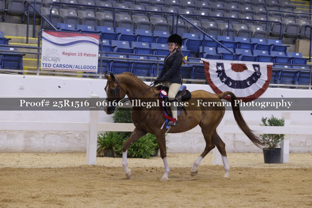 Proof Number 25R1516_06166