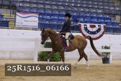 25R1516_06166 thumbnail
