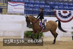 25R1516_06168 thumbnail