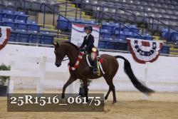 25R1516_06175 thumbnail