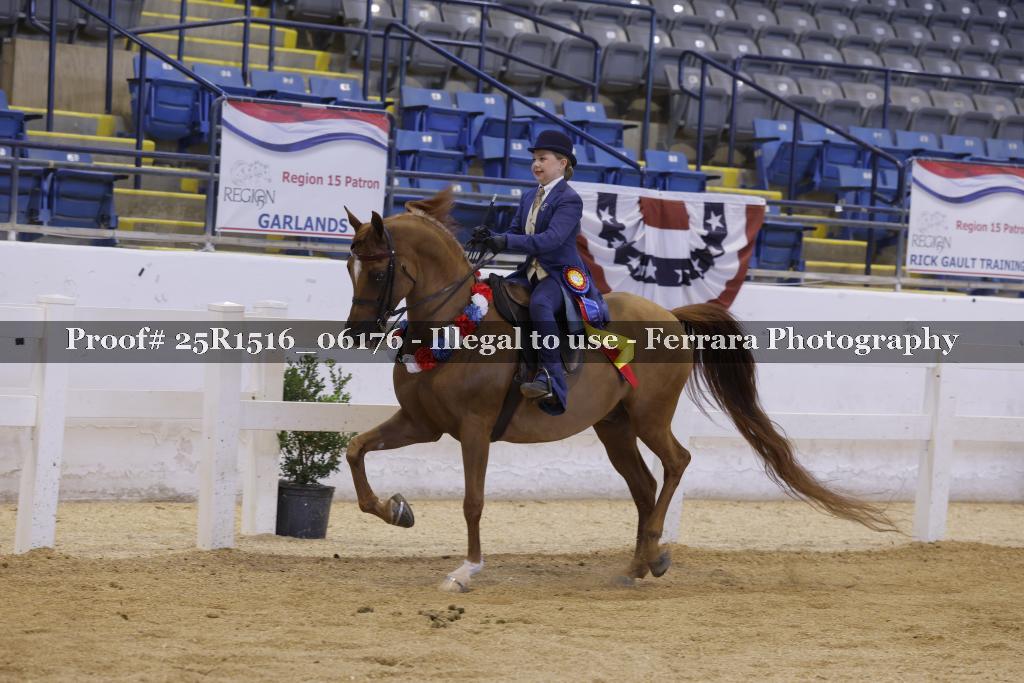 Proof Number 25R1516_06176