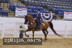 25R1516_06176 thumbnail