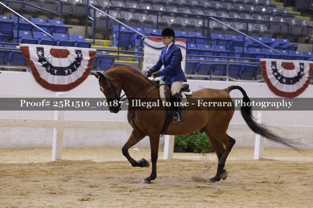 Proof Number 25R1516_06187