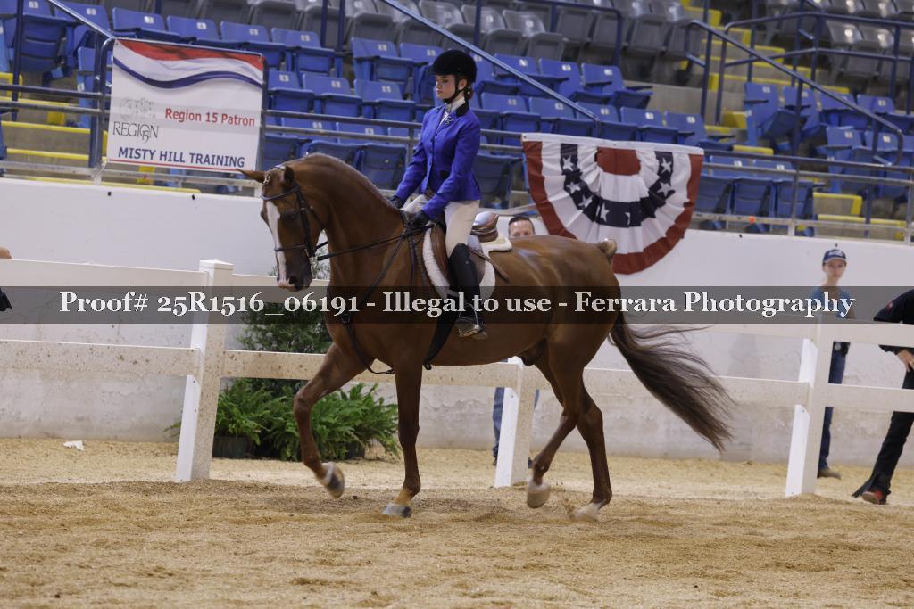 Proof Number 25R1516_06191