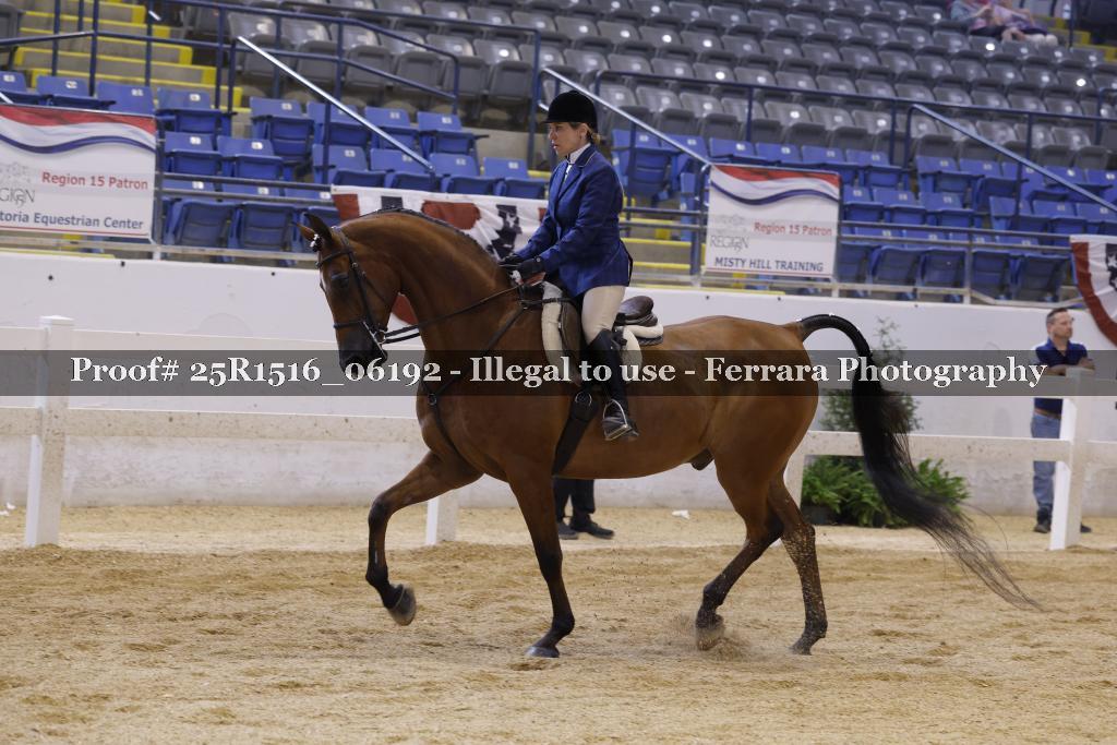 Proof Number 25R1516_06192