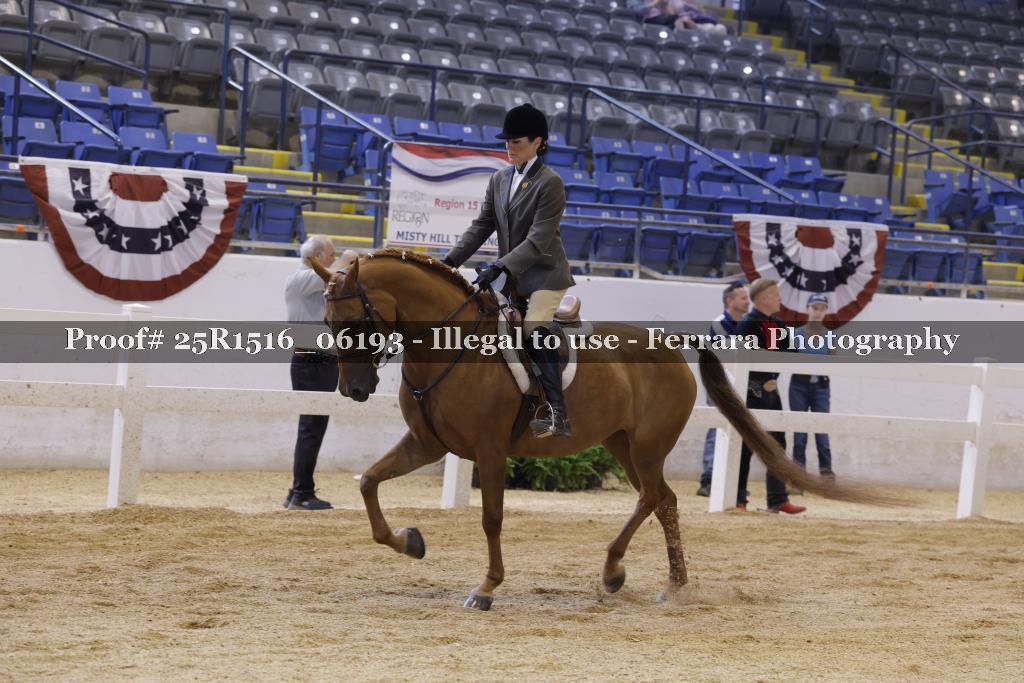 Proof Number 25R1516_06193