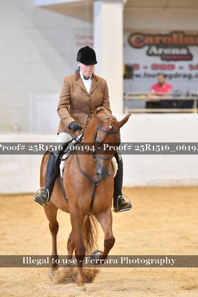Proof Number 25R1516_06194