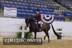 25R1516_06219 thumbnail