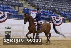 25R1516_06222 thumbnail