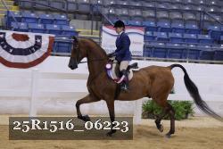 25R1516_06223 thumbnail