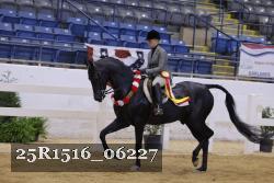 25R1516_06227 thumbnail