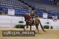 25R1516_06229 thumbnail