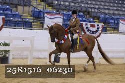 25R1516_06230 thumbnail