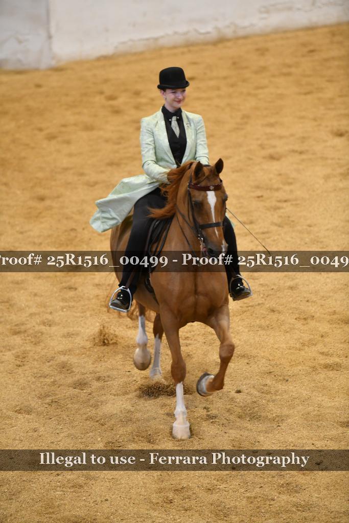 Proof Number 25R1516_00499