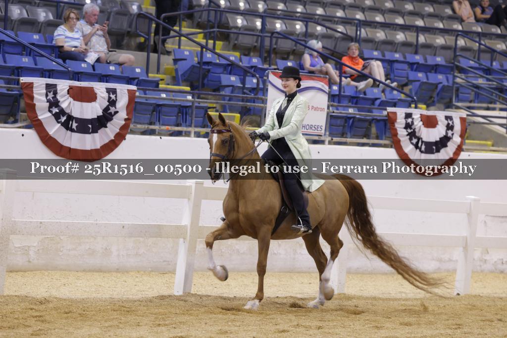 Proof Number 25R1516_00500
