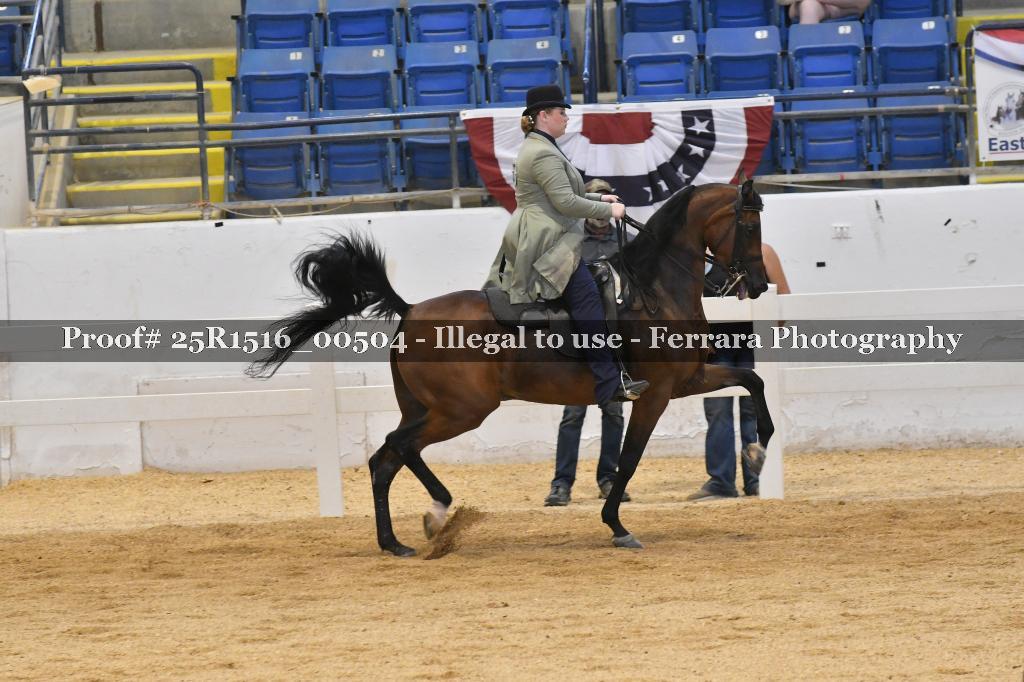 Proof Number 25R1516_00504