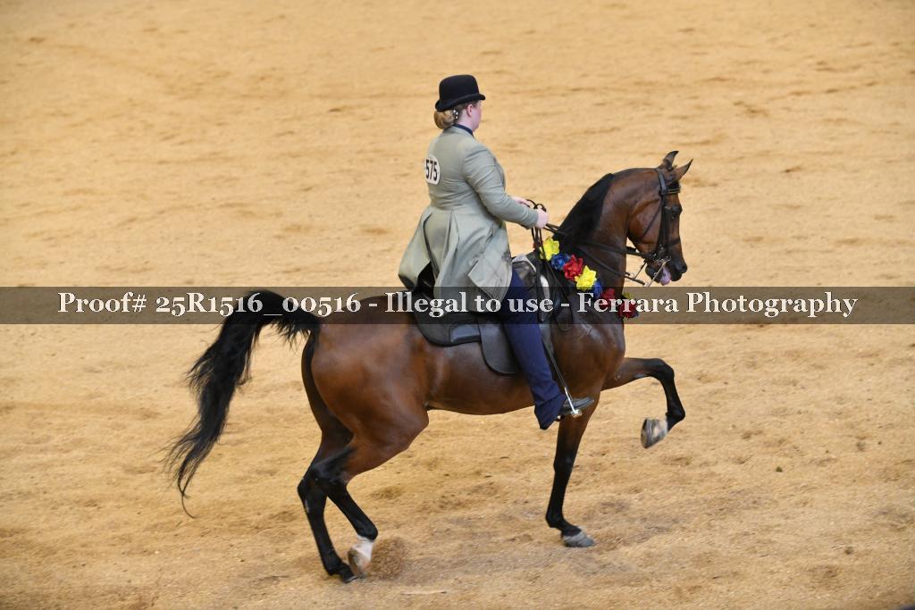 Proof Number 25R1516_00516