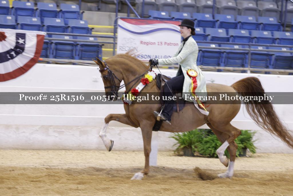 Proof Number 25R1516_00517