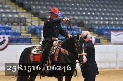 25R1516_06246 thumbnail