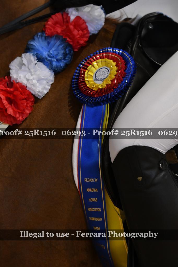 Proof Number 25R1516_06293
