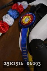 25R1516_06293 thumbnail