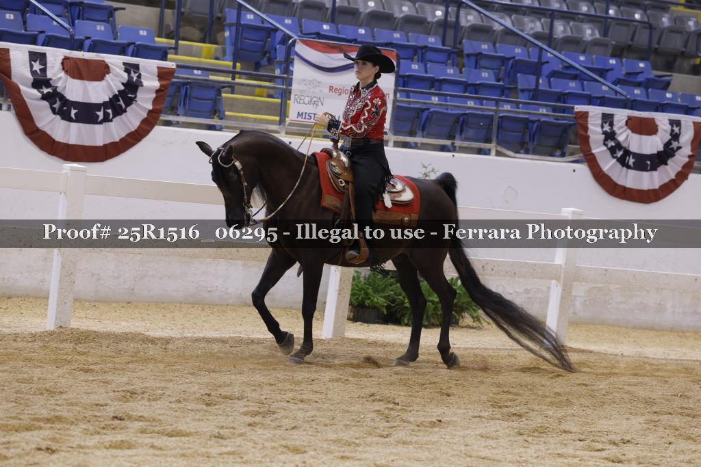 Proof Number 25R1516_06295