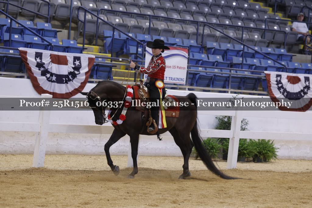 Proof Number 25R1516_06337