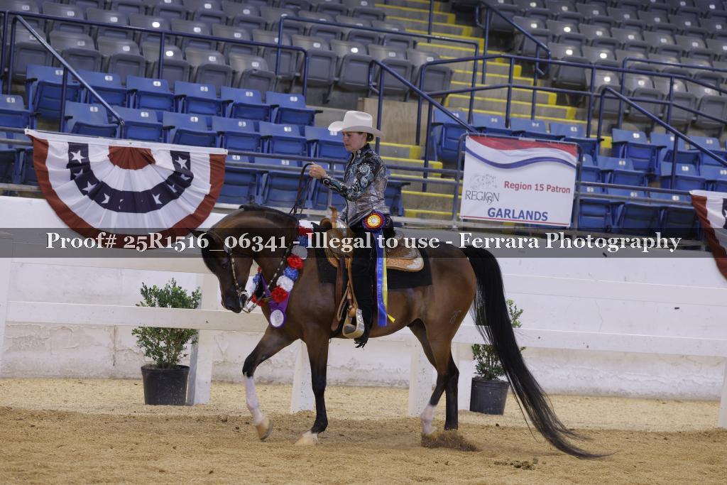 Proof Number 25R1516_06341