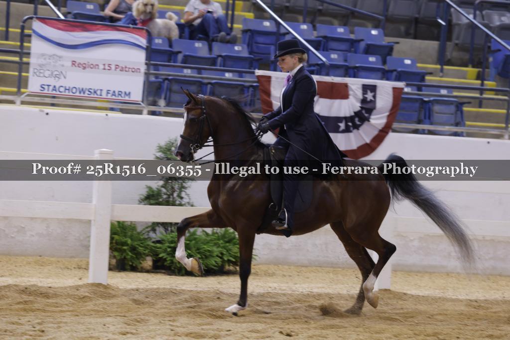 Proof Number 25R1516_06355
