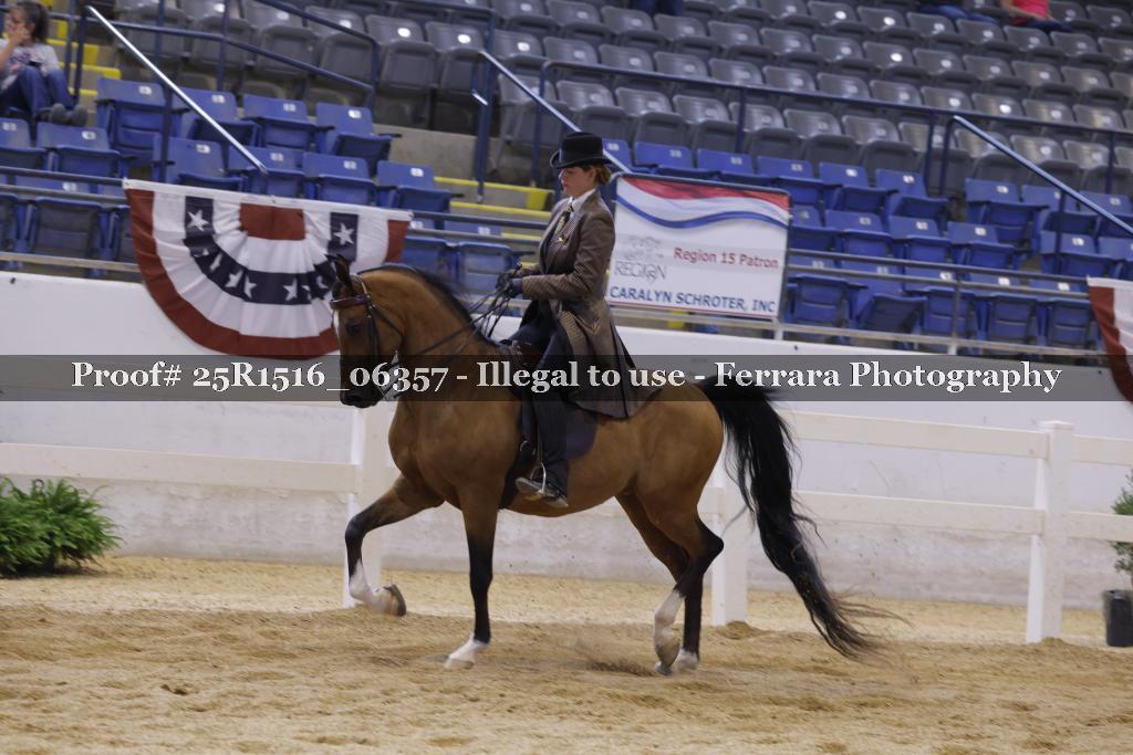 Proof Number 25R1516_06357