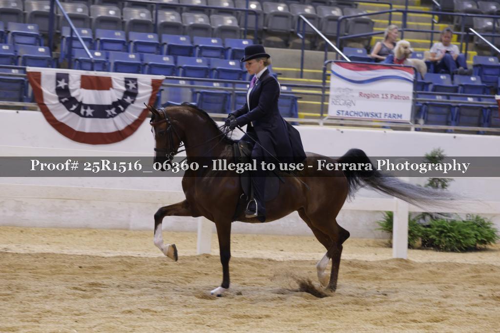 Proof Number 25R1516_06360