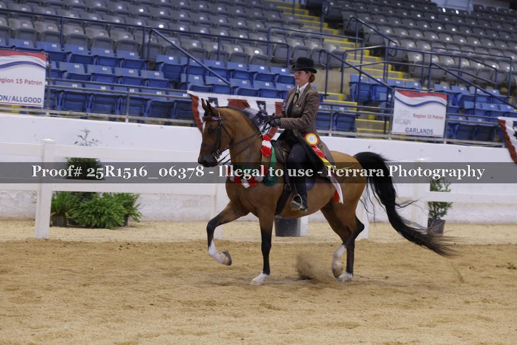 Proof Number 25R1516_06378