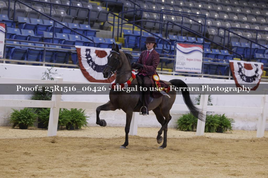 Proof Number 25R1516_06426