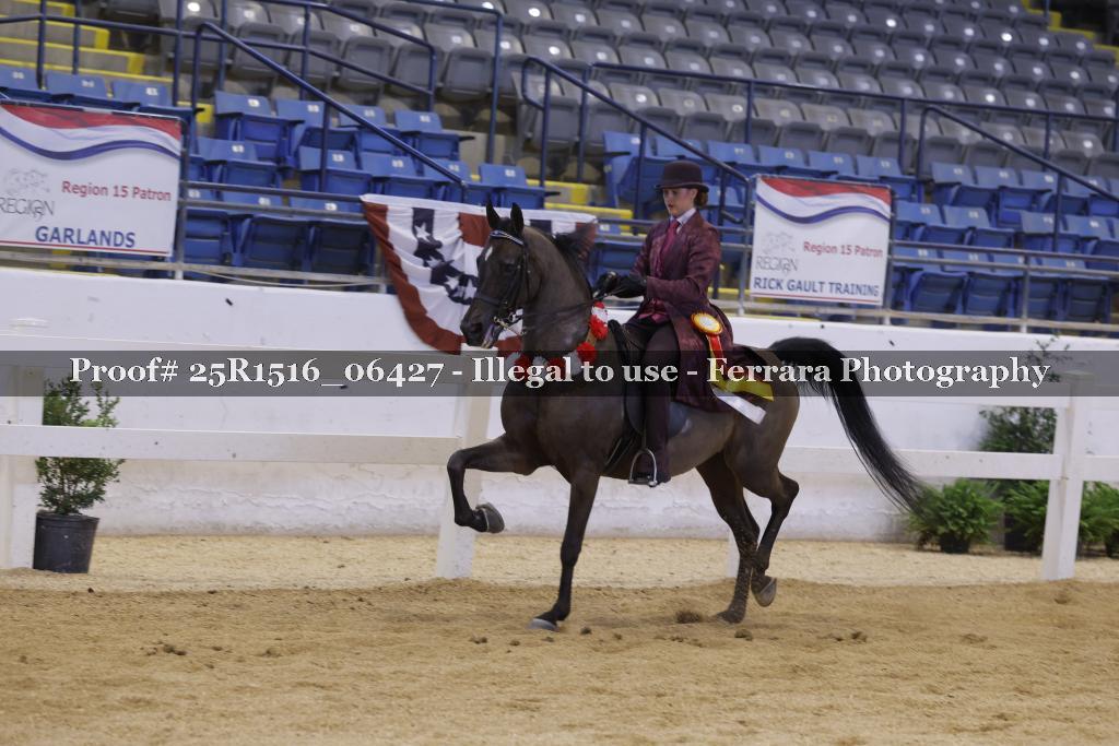 Proof Number 25R1516_06427