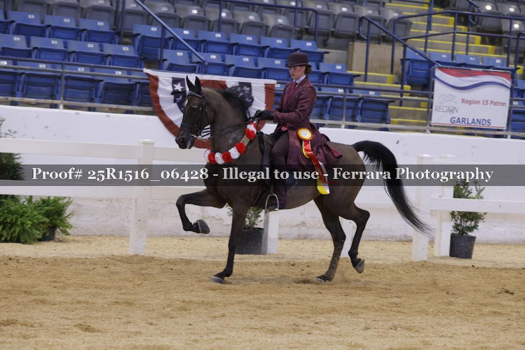 Proof Number 25R1516_06428