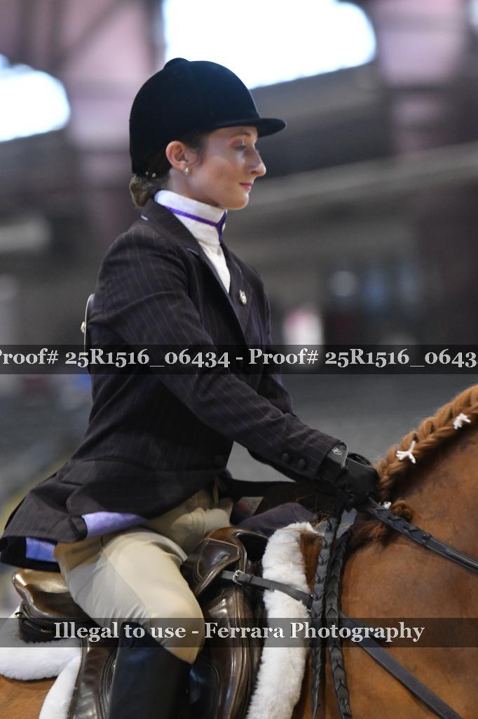 Proof Number 25R1516_06434