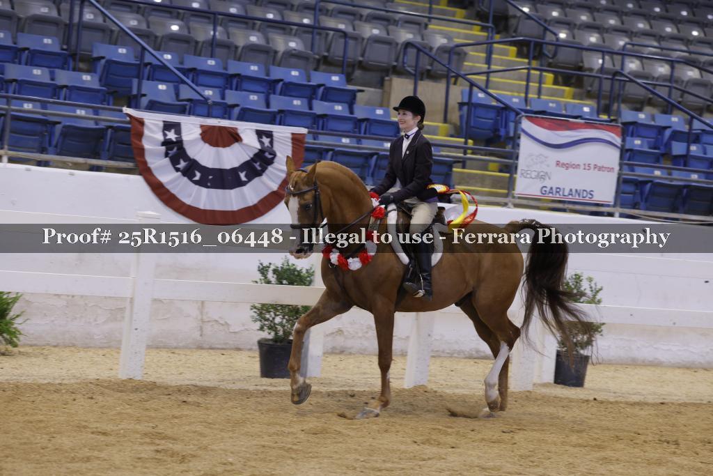 Proof Number 25R1516_06448
