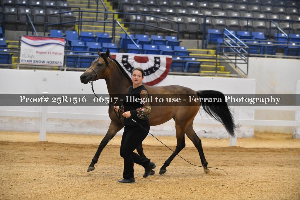 Proof Number 25R1516_06517