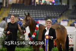 25R1516_06526 thumbnail